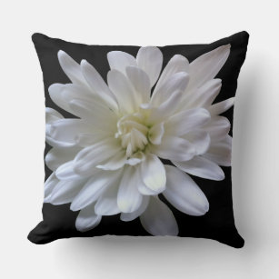 White floral white daisy white mum white flower throw pillow