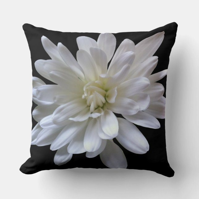 White floral white daisy white mum white flower throw pillow (Front)