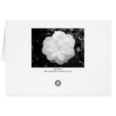 White Flower. (Black and White) (Back Horizontal)