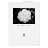 White Flower. (Black and White) - Customized (Back)