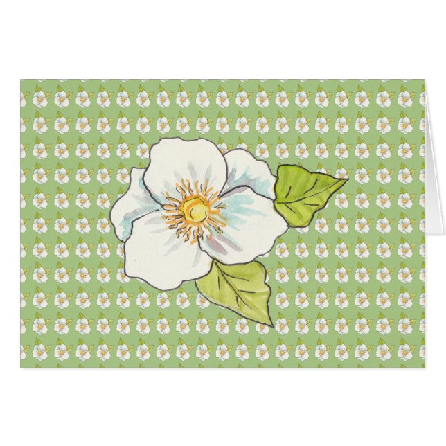 White flower, Blank inside Cards (Front Horizontal)