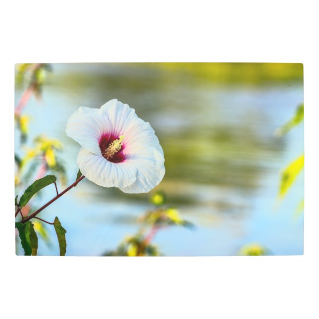 White Flower by the Water Metal Print (Front)