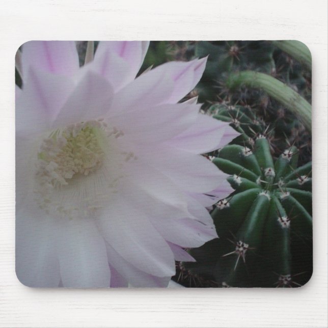 White Flower Cactus Mouse Pad (Front)