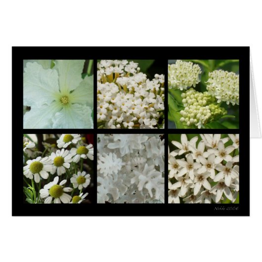 White Flower Card (Front Horizontal)