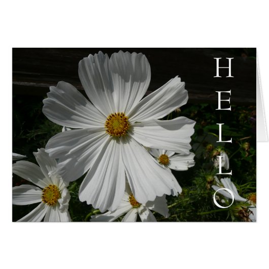 white flower cards (Front Horizontal)