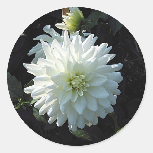 White Flower Classic Round Sticker (Front)
