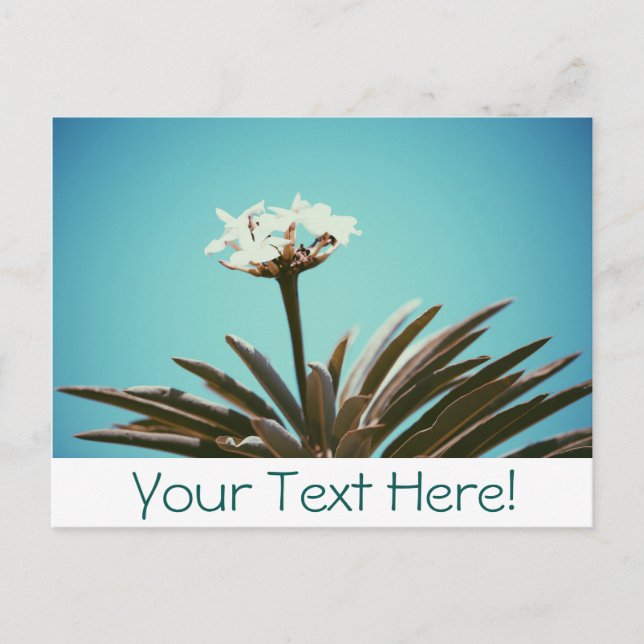 White Flower Green Plant Stylish Postcard (Front)