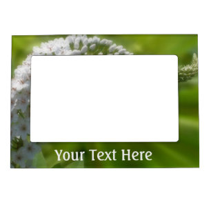 White Flower In Sunlight Magnetic Frame