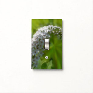 White Flower In Sunlight Nature Light Switch Cover