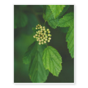 White flower macro temporary tattoos