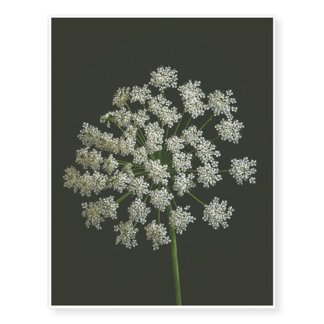 White flower macro temporary tattoos (Front)