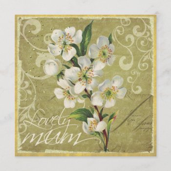 White Flower Mother's Day Card by daltrOndeLightSide at Zazzle