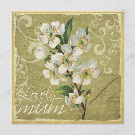 White Flower Mother's Day Card
