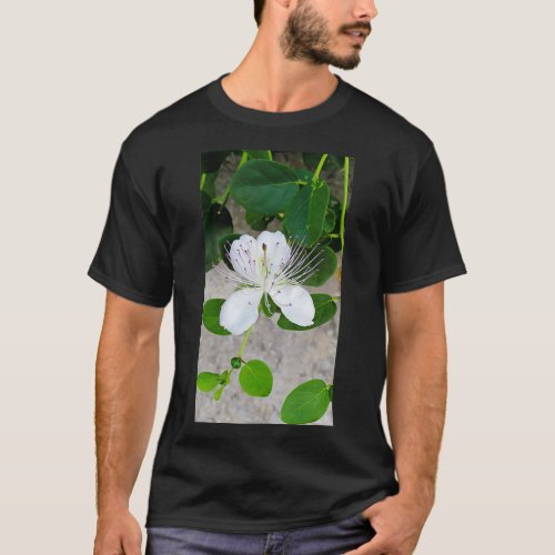 White flower of capers growing on a wall T_Shirt