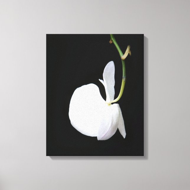White Flower on Black Wrapped Canvas Print (Front)