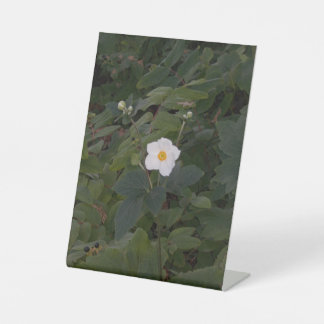 White Flower Photo Pedestal Sign