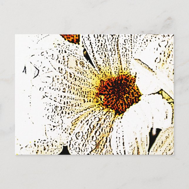 White flower postcard (Front)