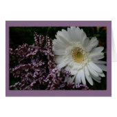 White Flower purple background (Front Horizontal)