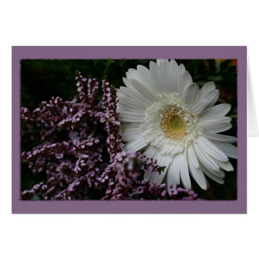 White Flower purple background Cards (Front Horizontal)