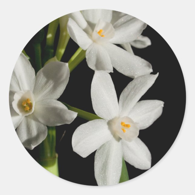 White Flower Spring Event And Wedding Sticker (Front)