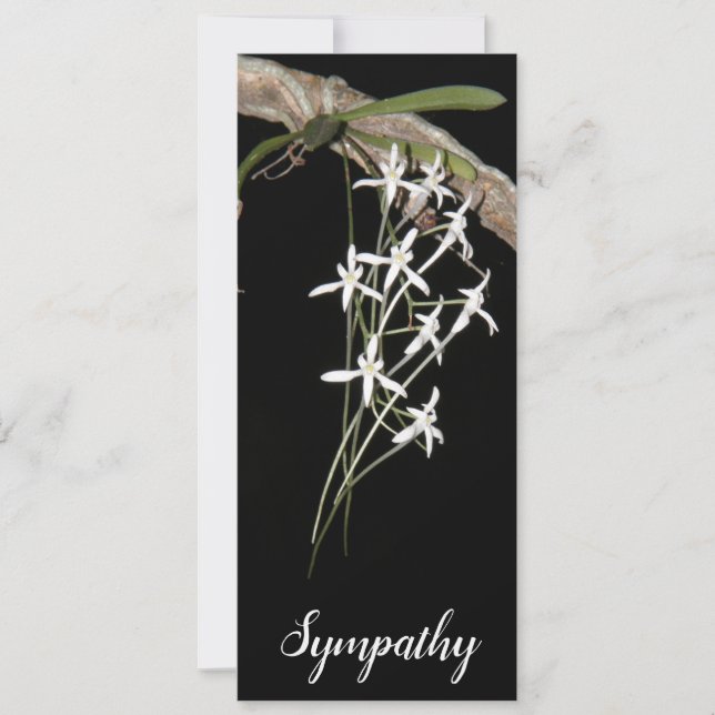 White Flower Vine Flat Card (fits #10 envelope) (Front)