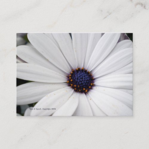 White Flower with Blue Center Business Card