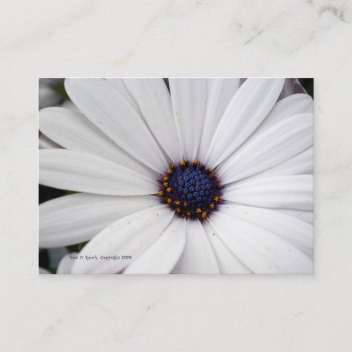 Customizable White Flower with Blue Center Business Card