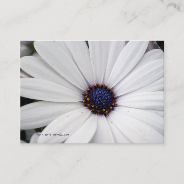 White Flower with Blue Center Business Card (Front)