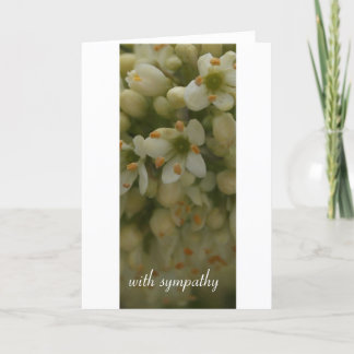 White Flower : with sympathy Card