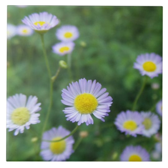 White Flower With Yellow Center Ceramic Tile Zazzle