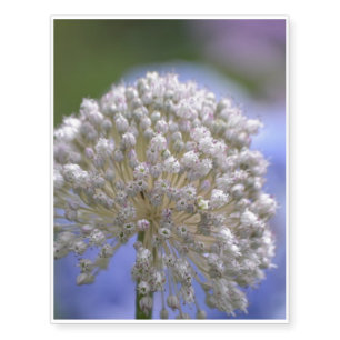 White Flowering Allium Temporary Tattoos