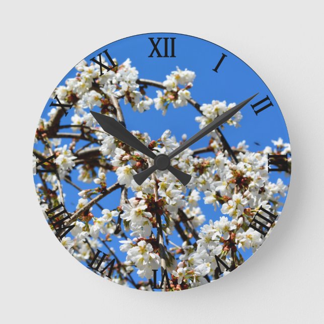 White flowering spring blossom, cherry tree round clock (Front)