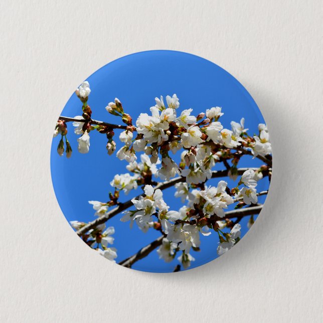 White flowering spring tree white floral blossom  button (Front)