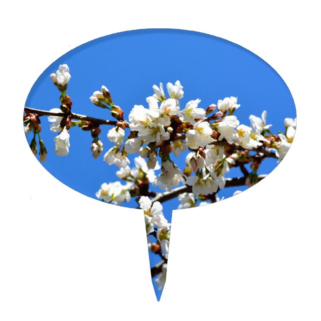 White flowering spring tree white floral blossom  cake topper (Front)