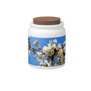 White flowering spring tree white floral blossom candy jar