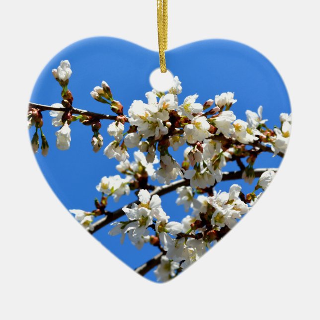 White flowering spring tree white floral blossom  ceramic ornament (Front)