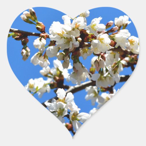 White flowering spring tree white floral blossom  heart sticker