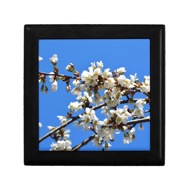 White flowering spring tree white floral blossom  jewelry box (Front)