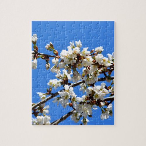 White flowering spring tree white floral blossom  jigsaw puzzle