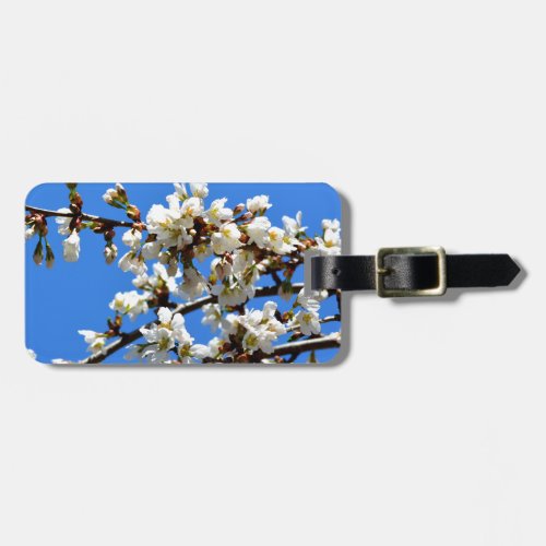 White flowering spring tree white floral blossom  luggage tag