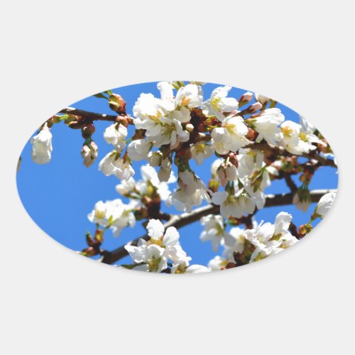 White flowering spring tree white floral blossom  oval sticker