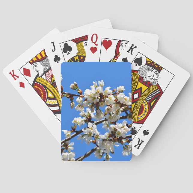White flowering spring tree white floral blossom  poker cards (Back)