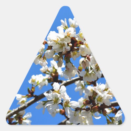 White flowering spring tree white floral blossom  triangle sticker