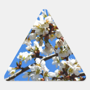 White flowering spring tree white floral blossom triangle sticker