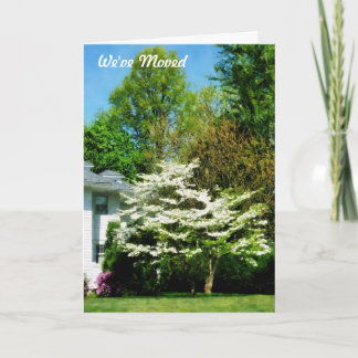 White Flowering Trees Announcement