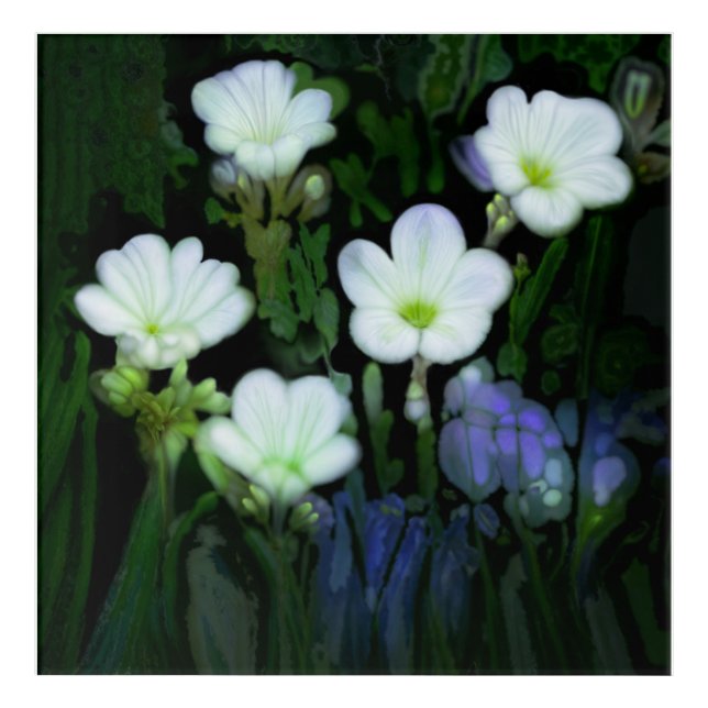 WHITE FLOWERS acrylic print (Front)