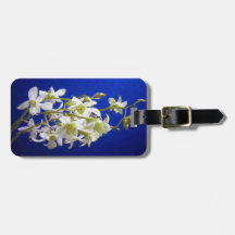 White Flowers against Blue Sky