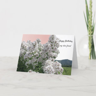 White Flowers and Nature Birthday Card