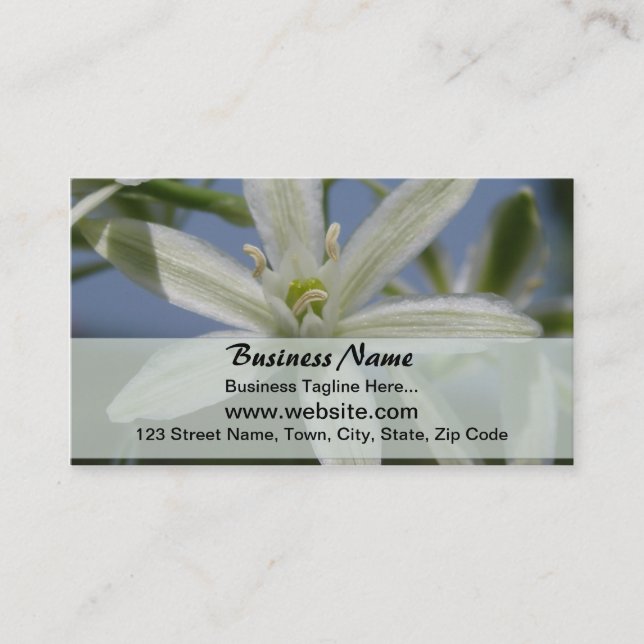White Flowers Business Card (Front)