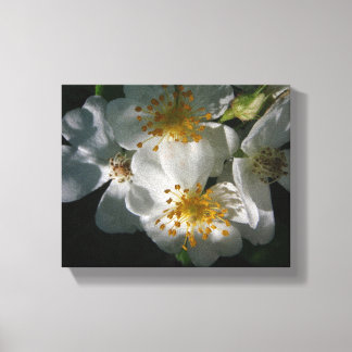 White Flowers Canvas Print